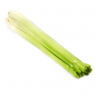 Shrub celery