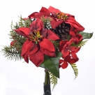 Poinsettia w pine