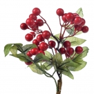 Berry pick