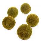 Medium moss ball