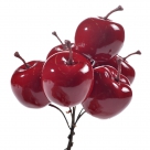 Shiny apple