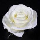 Rose head