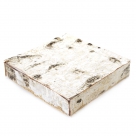 Birch trunk square