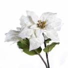 Poinsettia spray