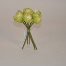 Tulip bundle x7