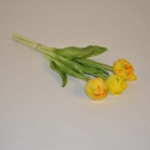 Peony-tulip bundle