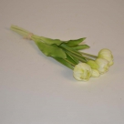 Peony-tulip bundle