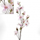 Magnolia spray x12