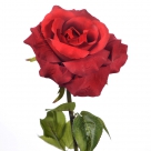 Rose valentine