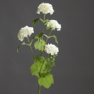 Snowball spray x5