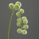Ball grass spray