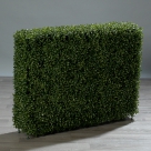 Buxus room-divider