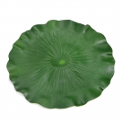 Sea rose leaf coaste
