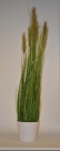Grass ass. in pot