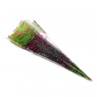 Cone bag fiesta