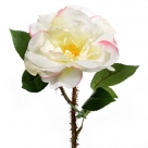 Rosa con spine