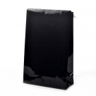Luxe gift bag shiny