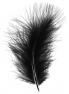 Feather marabou