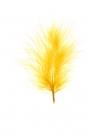 Feather marabou