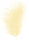 Feather marabou