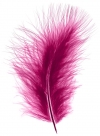 Feather marabou