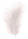 Feather marabou