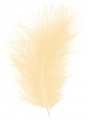 Feather marabou