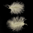 Feather marabou