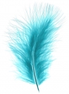 Feather marabou