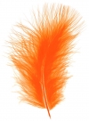 Feather marabou