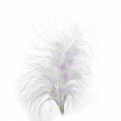 Feather marabou