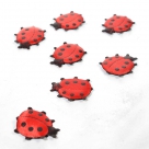 Strew ladybug