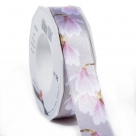 Ribbon magnolien