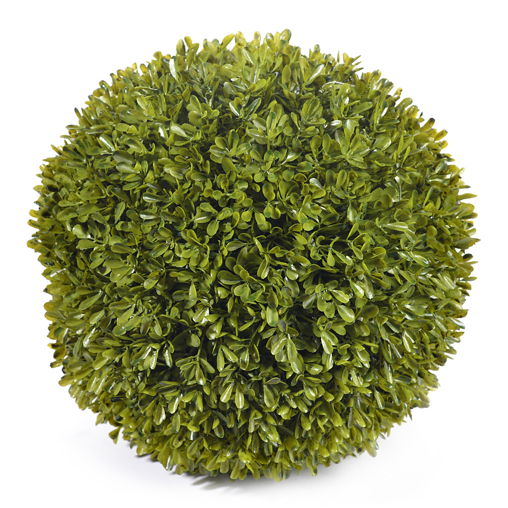 Buxus ball