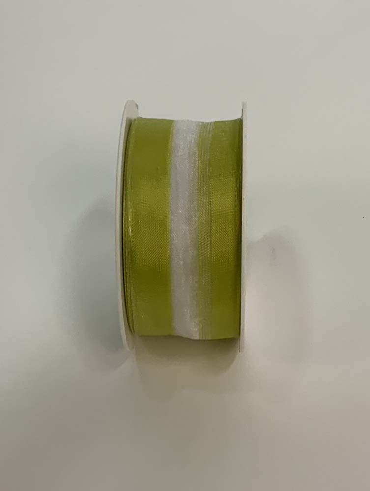Clara kiwi