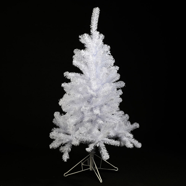 White x-mas spruce