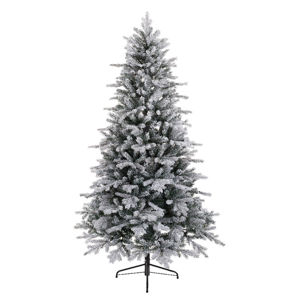 Vermont spruce