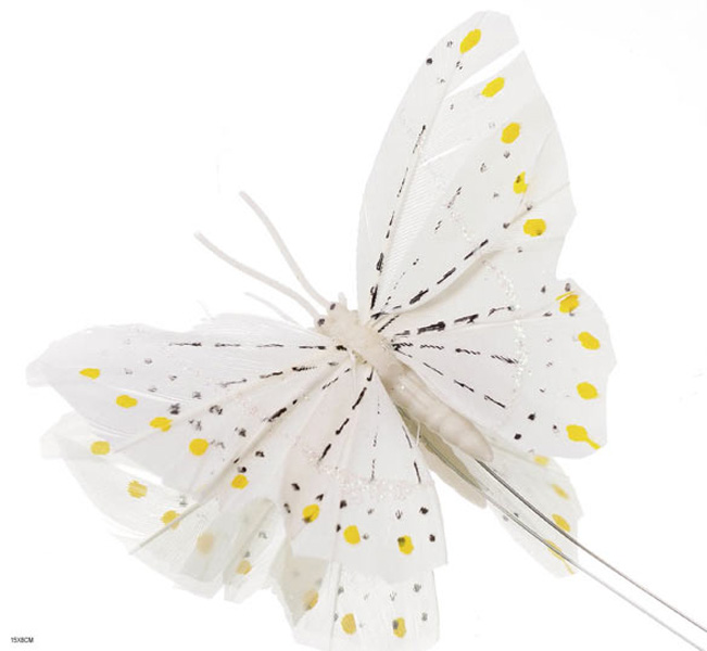 Butterfly on wire