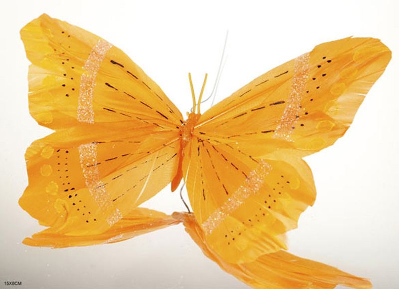 Butterfly on wire