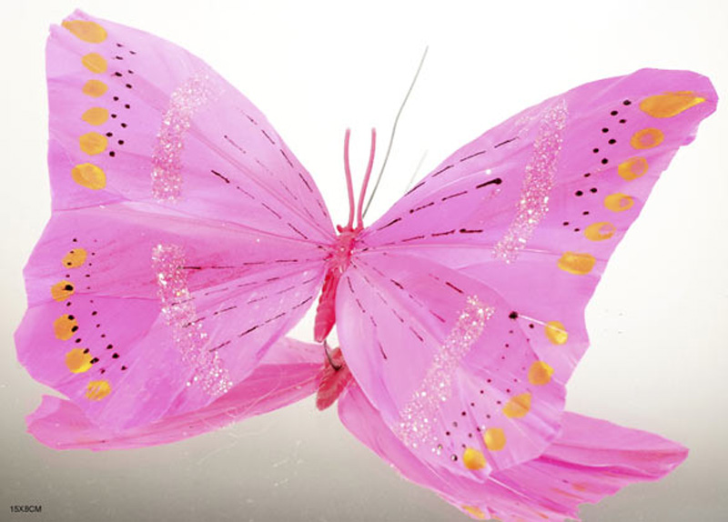 Butterfly on wire