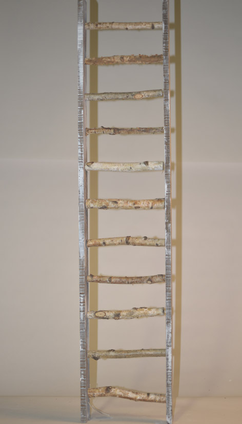 Wooden ladder