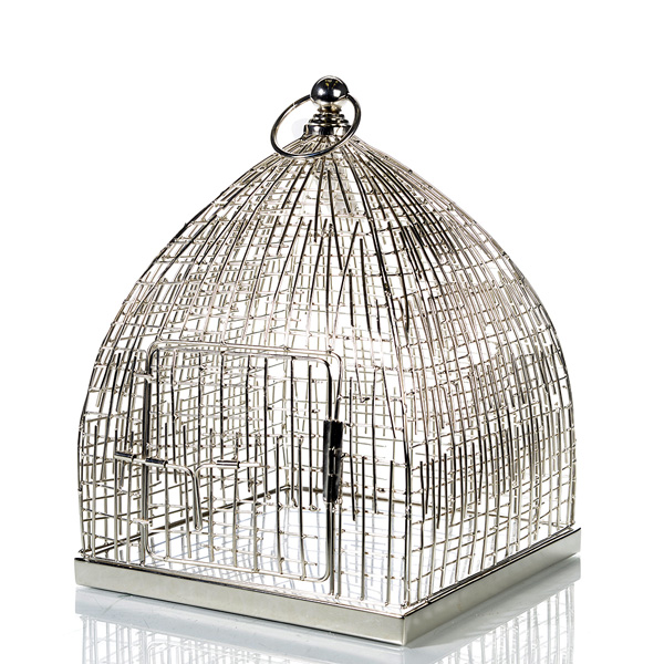 Birdcage wire