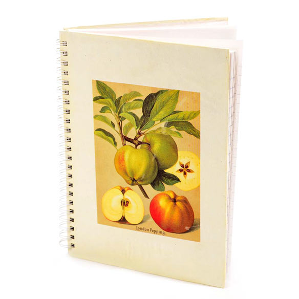 Notebook apple