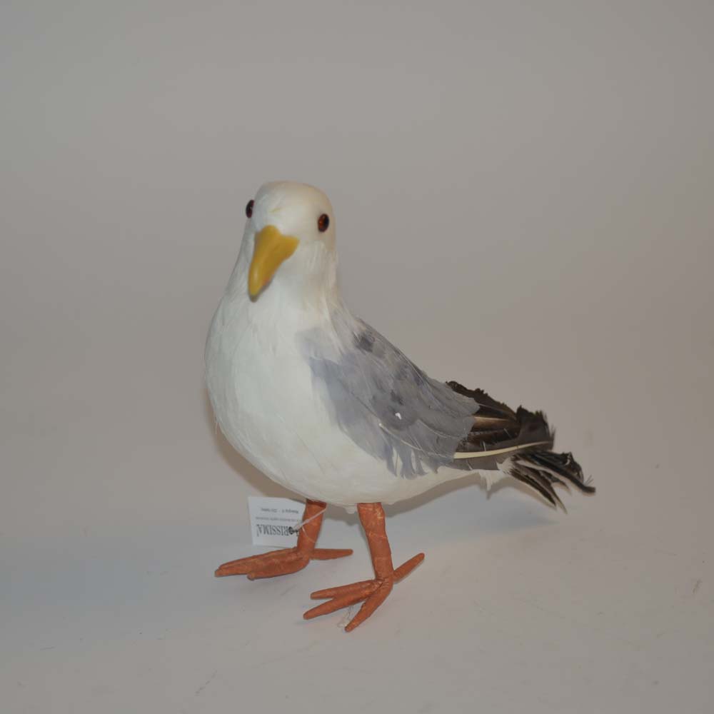 Seagull