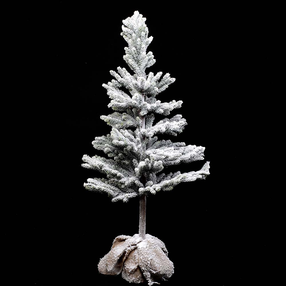 Fir tree in jute bag