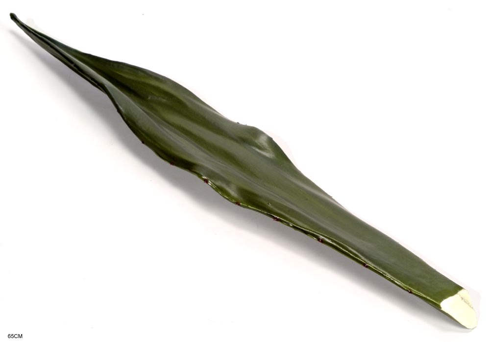 Agave leaf