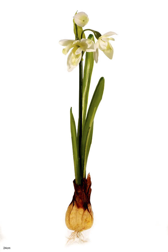 Snowdrop on pick