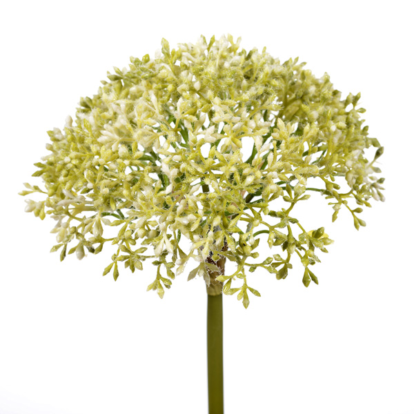 Blossom spray