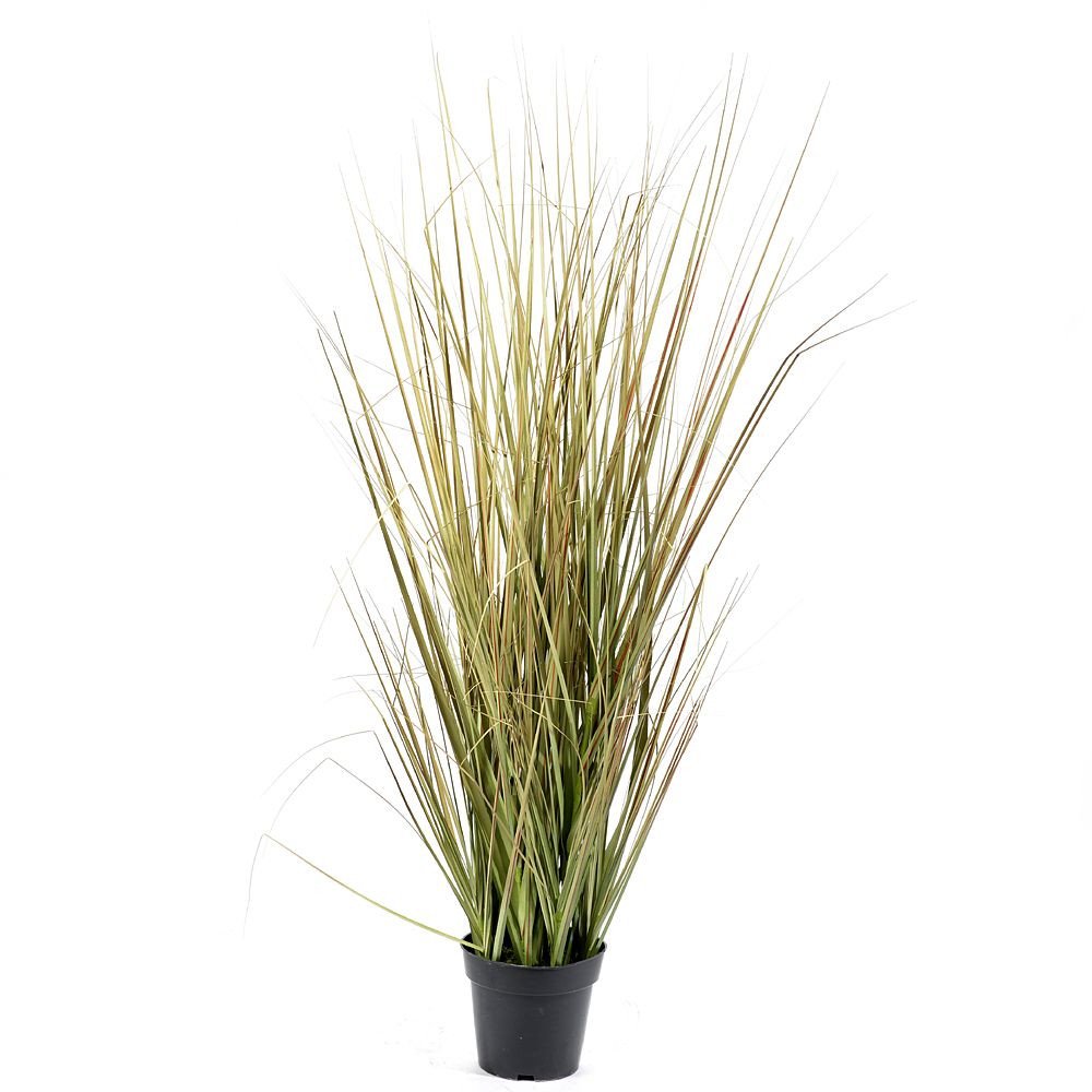 Grass savanna i.pot