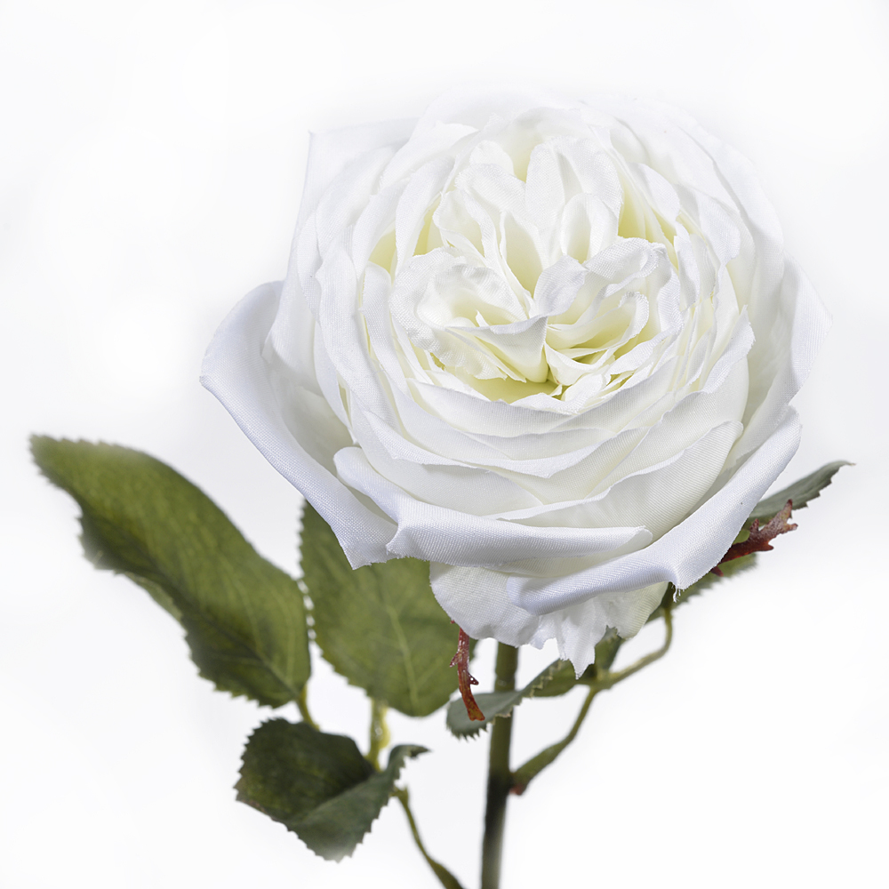Rose spray